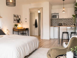 Studio meublé moderne et lumineux avec coin nuit, bureau et cuisine